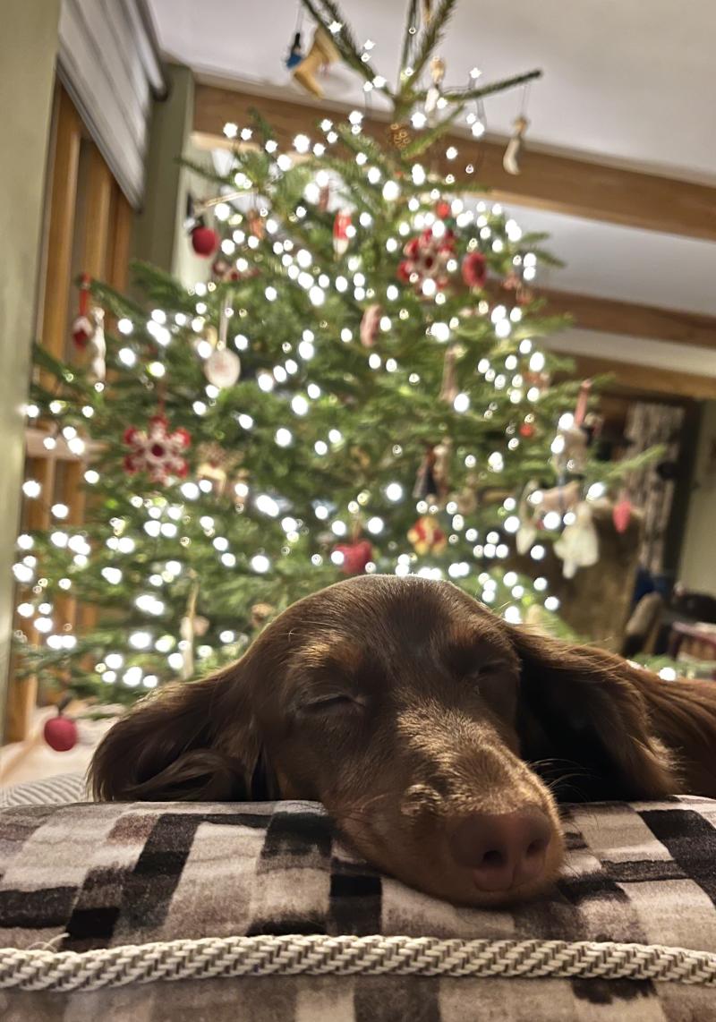 Christmas Greetings