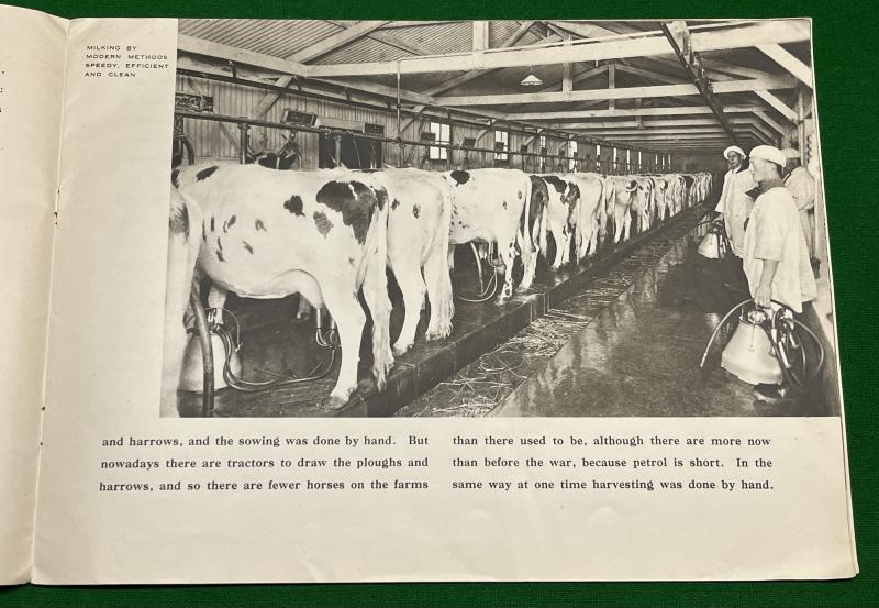 The Call of the Land