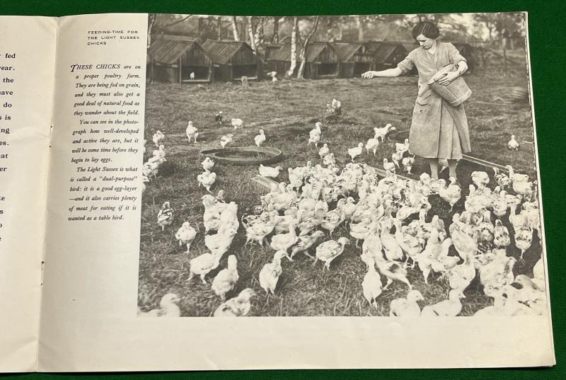 The Call of the Land