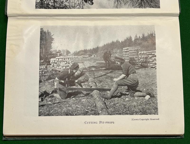 ' Meet the Members ' - Timber Corps history.