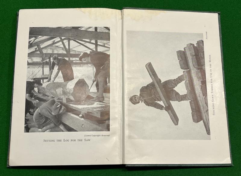 ' Meet the Members ' - Timber Corps history.