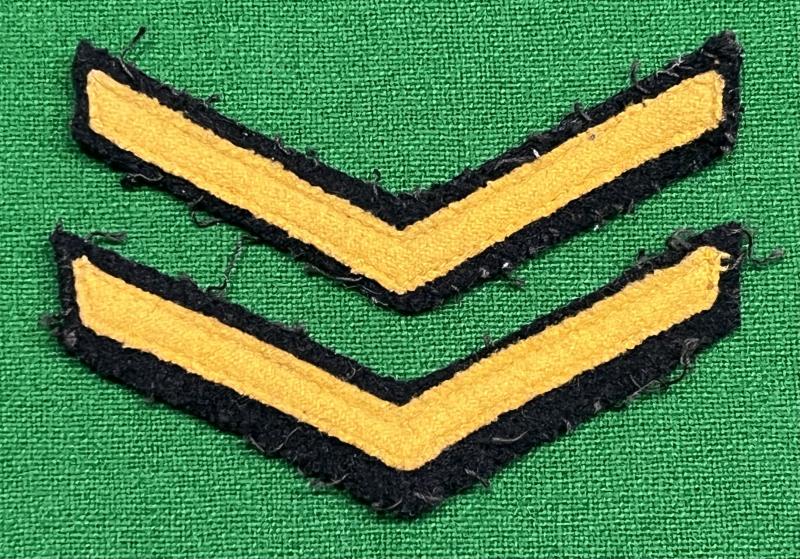 Civil Defence rank chevrons.