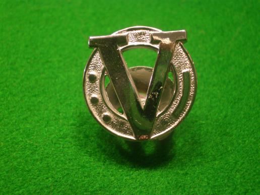 Victory lapel badge.